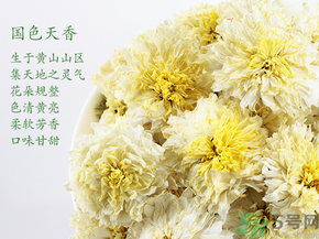 菊花茶可以放冰箱嗎?菊花茶能放冰箱冷凍嗎? 菊花茶可以放冰箱嗎?菊花茶能放冰箱冷凍嗎?