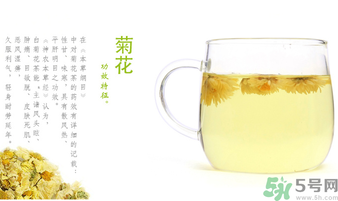 菊花茶可以放冰箱嗎?菊花茶能放冰箱冷凍嗎? 菊花茶可以放冰箱嗎?菊花茶能放冰箱冷凍嗎?