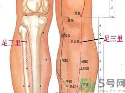 艾灸足三里有什么好處？艾灸足三里的功效