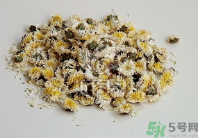 干菊花長(zhǎng)蟲(chóng)怎么辦？干菊花長(zhǎng)蟲(chóng)還能喝嗎？