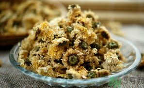 干菊花長(zhǎng)蟲(chóng)怎么辦？干菊花長(zhǎng)蟲(chóng)還能喝嗎？