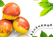 冬棗洗了可以放冰箱嗎？冬棗放冰箱好還是不放冰箱好？