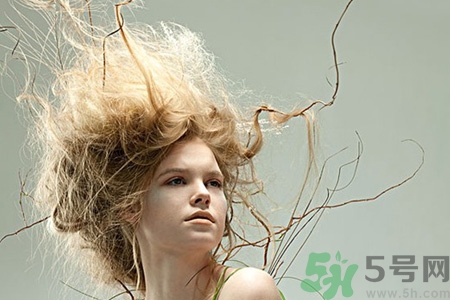 冬天用什么梳子比較好？頭發(fā)總愛(ài)靜電用什么梳子好？