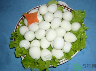 鴿子蛋怎么煮不會(huì)破裂？鴿子蛋怎么煮不會(huì)破？