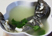 孕婦吃黑魚(yú)好嗎？孕婦吃黑魚(yú)會(huì)流產(chǎn)嗎？