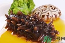 吃海參會上火嗎？經(jīng)常吃海參會上火嗎？
