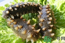 新鮮海參怎么吃最有營養(yǎng)？新鮮海參生吃最有營養(yǎng)嗎？