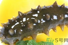 新鮮海參怎么吃最有營養(yǎng)？新鮮海參生吃最有營養(yǎng)嗎？