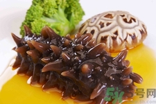新鮮海參怎么吃最好？新鮮海參生吃最好嗎？