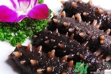 海參的簡單家常做法有哪些？海參的不同吃法