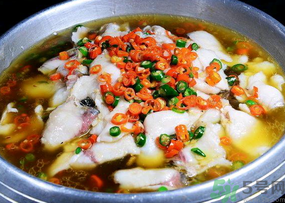 黑魚的營養(yǎng)價(jià)值 黑魚的功效與作用 黑魚的營養(yǎng)價(jià)值 黑魚的功效與作用