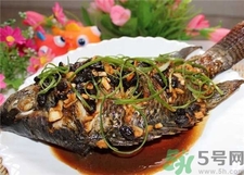 非洲鯽魚的營養(yǎng)價值 非洲鯽魚的功效與作用 非洲鯽魚的營養(yǎng)價值 非洲鯽魚的功效與作用