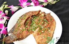非洲鯽魚(yú)的營(yíng)養(yǎng)價(jià)值 非洲鯽魚(yú)的功效與作用