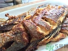 非洲鯽魚(yú)的營(yíng)養(yǎng)價(jià)值 非洲鯽魚(yú)的功效與作用