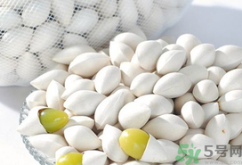 白果不能和什么一起吃?白果的食用禁忌 白果不能和什么一起吃?白果的食用禁忌
