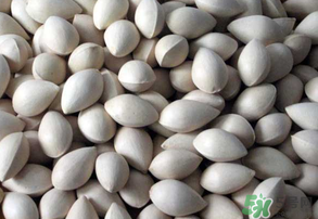 吃白果有什么好處和壞處？吃白果有什么作用？