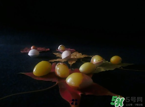 白果可以放微波爐嗎？白果放微波爐轉(zhuǎn)幾分鐘？