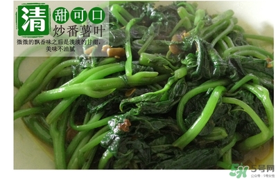 紅薯葉哺乳期可以吃嗎？紅薯葉產(chǎn)婦可以吃嗎？