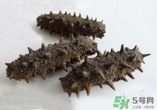 海參肚子里的筋能吃嗎？海參肚子里的筋吃了有什么作用？
