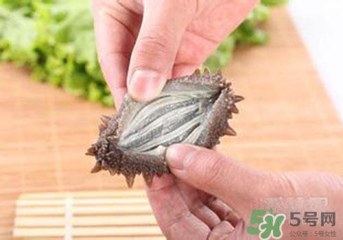 海參肚子里的筋能吃嗎？海參肚子里的筋吃了有什么作用？