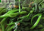 紅薯葉不能和什么一起吃？紅薯葉什么不能吃？