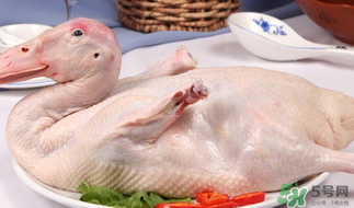 鴨肉可以放冰箱嗎？鴨肉放冰箱能保鮮多久？