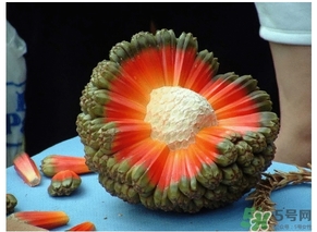 露兜果怎么吃？露兜果的功效作用