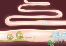 益生菌可以長(zhǎng)期吃嗎？益生菌什么時(shí)候吃比較好？