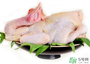 冷凍肉可以放多久？速凍肉可以放多久？