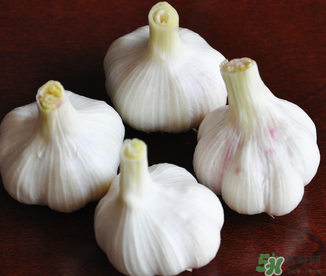 2017年大蒜多少錢(qián)一斤？2017年大蒜價(jià)格預(yù)測(cè)