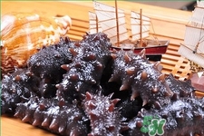 新鮮海參和干海參哪種更好？海參的品種有哪些？
