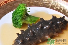 新鮮海參和干海參哪種更好？海參的品種有哪些？