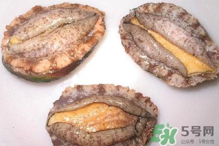 鮑魚能冷凍嗎？鮑魚可以放冰箱冷藏嗎？