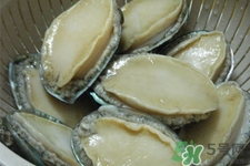 鮑魚死后可以放幾天？鮑魚死后多久不能吃？