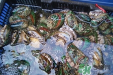 男人吃鮑魚能補腎嗎？腎虛能吃鮑魚嗎？