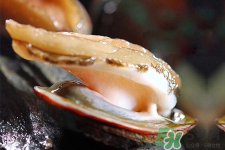 男人吃鮑魚能補腎嗎？腎虛能吃鮑魚嗎？