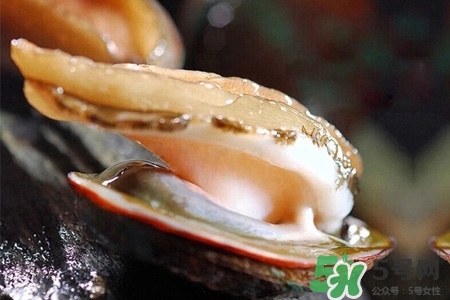 鮑魚(yú)一次最多吃幾個(gè)？鮑魚(yú)吃多了有什么不好的？