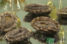 吃鮑魚要注意些什么？吃鮑魚會過敏嗎？