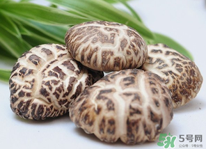 吃香菇有什么好處？吃香菇有什么壞處？