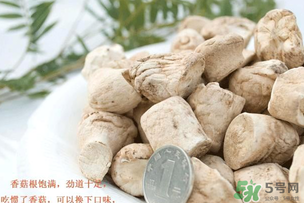 香菇根能吃嗎？香菇的根可以吃嗎？