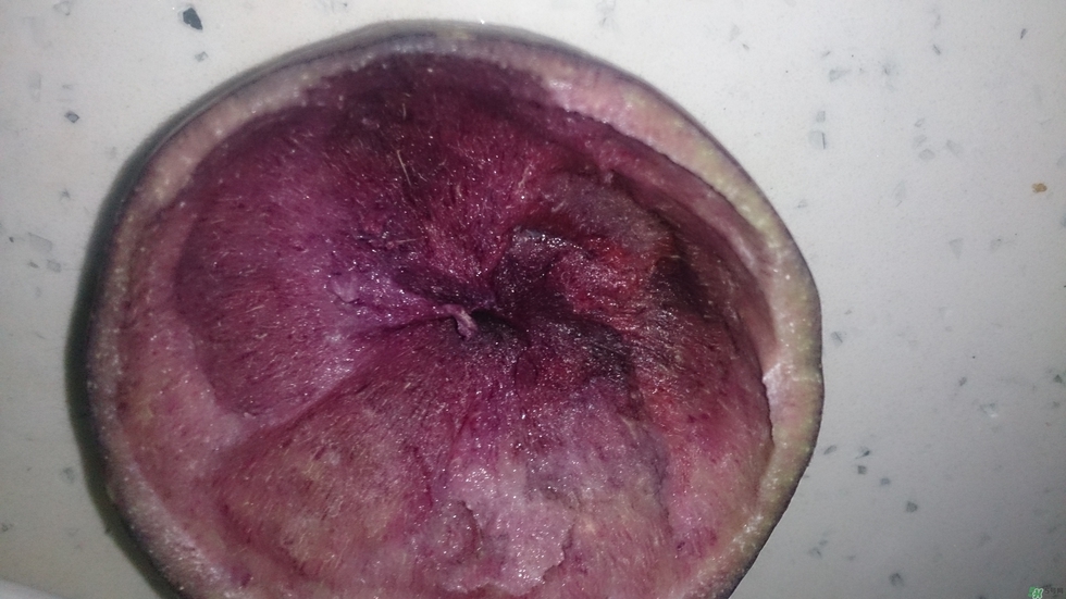 牛奶果怎么吃？牛奶果的功效與作用