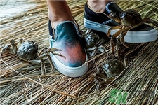 vans與acu合作款鞋子在哪可以買？vans與acu合作款鞋子上市發(fā)售時間