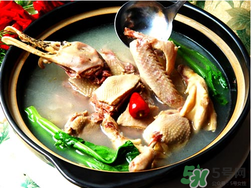 鴨肉和柿子能一起吃嗎？吃完鴨肉可以吃柿子嗎？