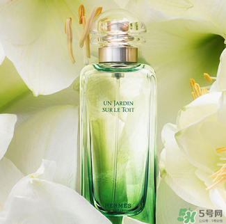 愛馬仕香水怎么看真假？愛馬仕香水真假鑒別圖