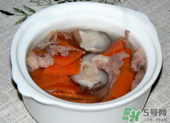 雞肉能和胡蘿卜一起吃嗎？雞肉和蘿卜可以一起吃嗎？