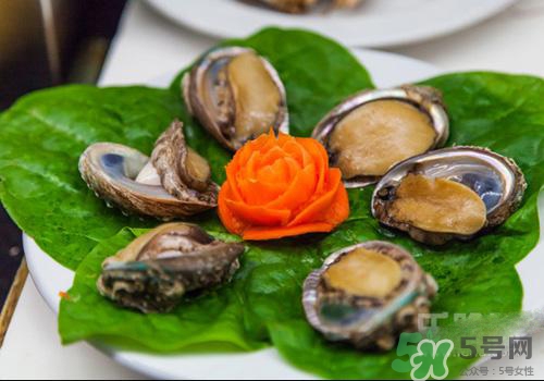 鮑魚是熱性還是涼性？鮑魚是寒性食物嗎？