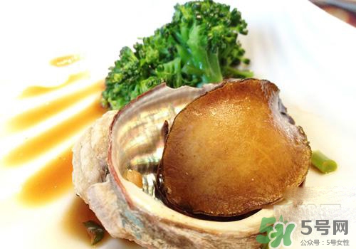 鮑魚是熱性還是涼性？鮑魚是寒性食物嗎？