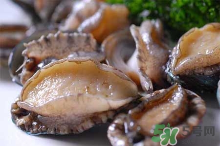 寶寶能吃鮑魚嗎？寶寶多大可以吃鮑魚？