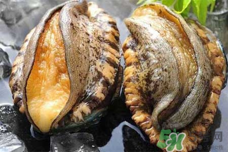 鮑魚什么部位不能吃？吃鮑魚的禁忌