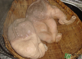 豬大腸怎么清洗？豬大腸怎么去臭味？